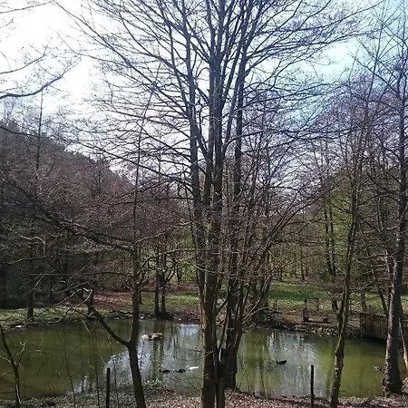 Am Ententeich Bad Marienberg