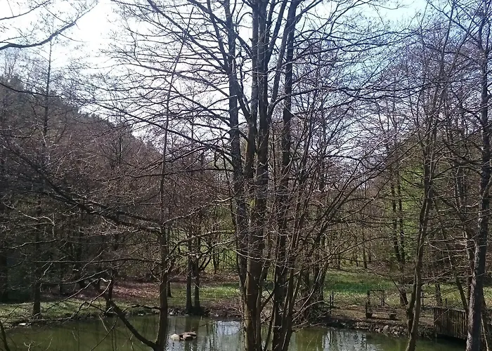 Am Ententeich باد مارينبرغ